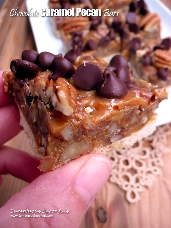 Chocolate Caramel Pecan Bars ~ Sumptuous Spoonfuls #dulcedeleche #pecan #bars #recipe