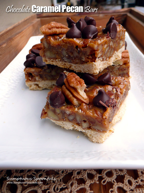 Chocolate Caramel Pecan Bars ~ Sumptuous Spoonfuls #dulcedeleche #pecan #bars #recipe