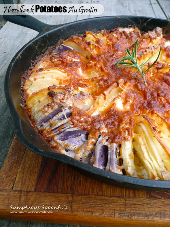 Hasselback Potatoes Au Gratin ~ Sumptuous Spoonfuls #healthier #scalloped #potato #hasselback #recipe