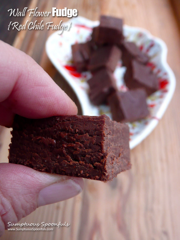 Wall Flower Fudge {Red Chile Fudge} ~ she'll leave you wanting more ~ Sumptuous Spoonfuls #spicy #fudge #recipe