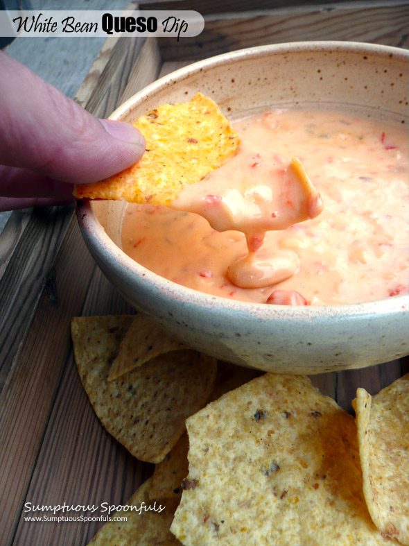White Bean Queso Dip ~ Sumptuous Spoonfuls #mexican #bean & cheese #dip #recipe