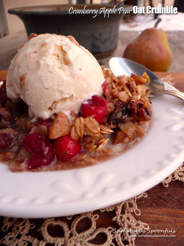 Cranberry Apple Pear Oat Crumble ~ Sumptuous Spoonfuls #fruity #baked #oatmeal #recipe