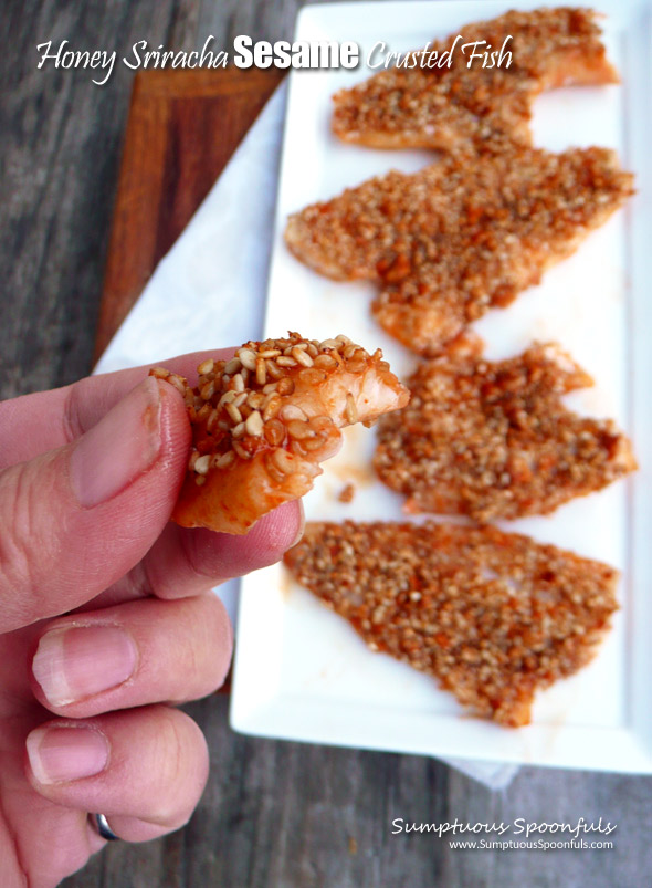 Honey Sriracha Sesame Crusted Fish ~ Sumptuous Spoonfuls #easy #fish #recipe