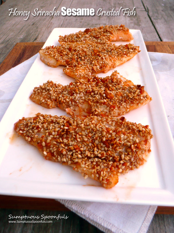 Honey Sriracha Sesame Crusted Fish ~ Sumptuous Spoonfuls #easy #fish #recipe