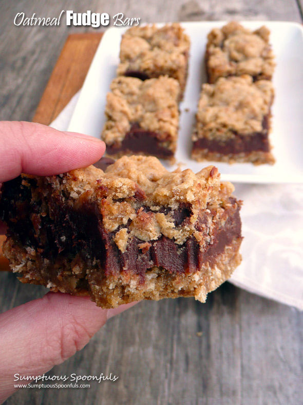 Oatmeal Fudge Bars ~ Sumptuous Spoonfuls #chocolate #oatmeal #decadent #dessert #recipe