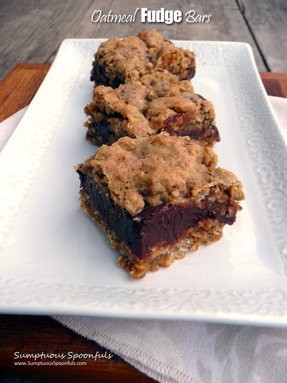 Oatmeal Fudge Bars ~ Sumptuous Spoonfuls #chocolate #oatmeal #decadent #dessert #recipe