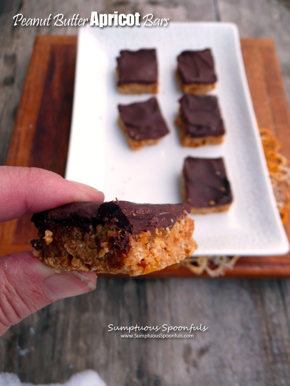 Peanut Butter Apricot Bars ~ Sumptuous Spoonfuls #chocolate #pb&j #light #dessert #recipe
