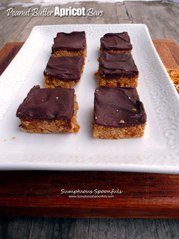 Peanut Butter Apricot Bars ~ Sumptuous Spoonfuls #chocolate #pb&j #light #dessert #recipe