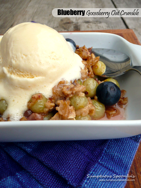 Blueberry Gooseberry Oat Crumble ~ Sumptuous Spoonfuls#healthy #breakfast #berry #dessert #recipe
