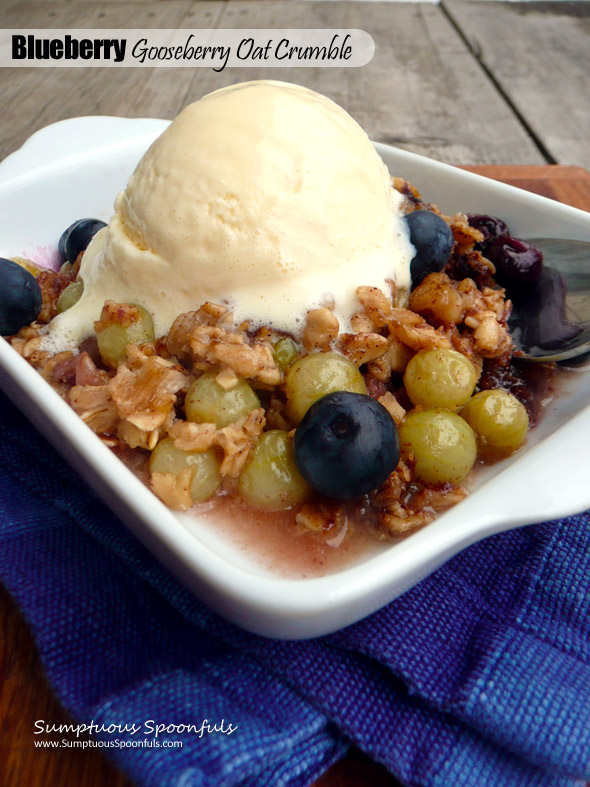 Blueberry Gooseberry Oat Crumble ~ Sumptuous Spoonfuls#healthy #breakfast #berry #dessert #recipe