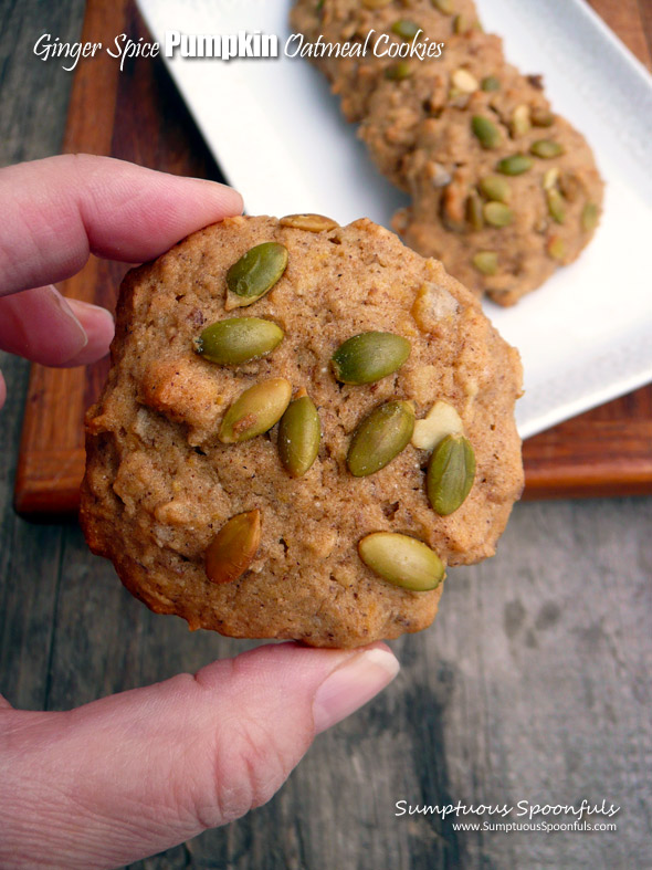 Ginger Spice Pumpkin Oatmeal Cookies ~ Sumptuous Spoonfuls #pumpkin #oat #spice #cookies #recipe