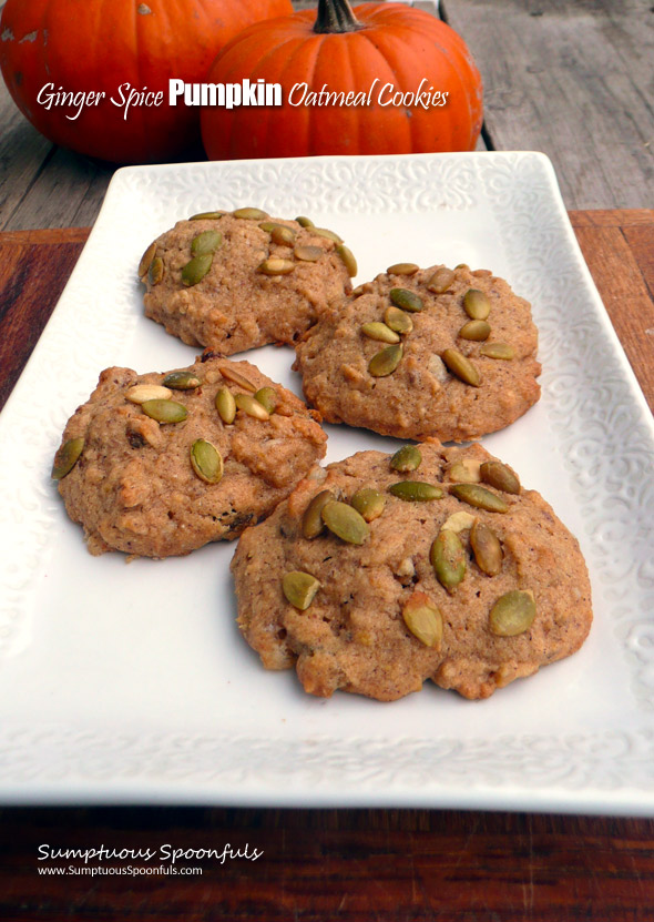 Ginger Spice Pumpkin Oatmeal Cookies ~ Sumptuous Spoonfuls #pumpkin #oat #spice #cookies #recipe