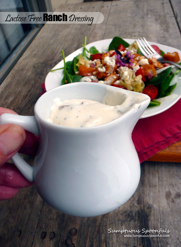 Lactose Free Ranch Dressing ~ #nondairy #ranch #dressing #dip #recipe