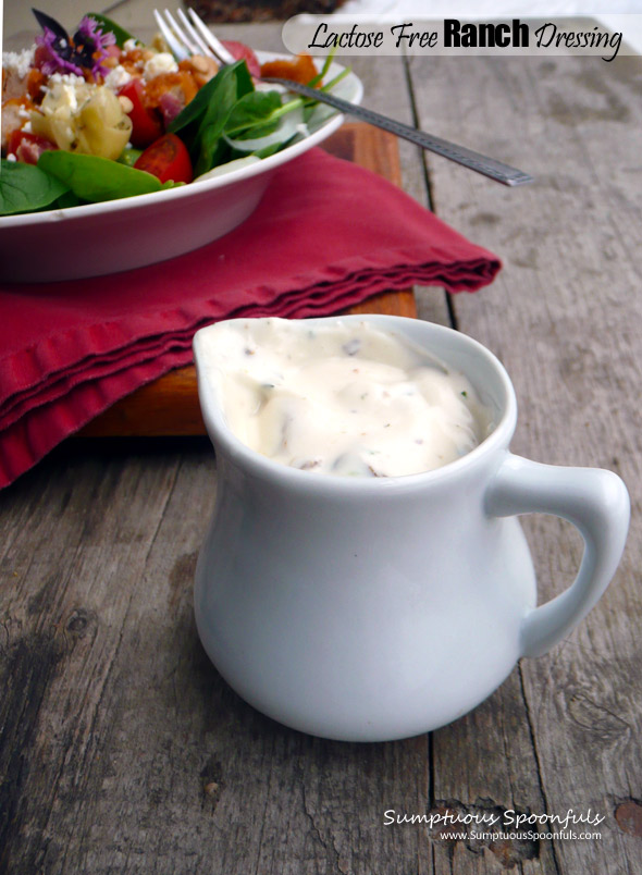 Lactose Free Ranch Dressing ~ #nondairy #ranch #dressing #dip #recipe