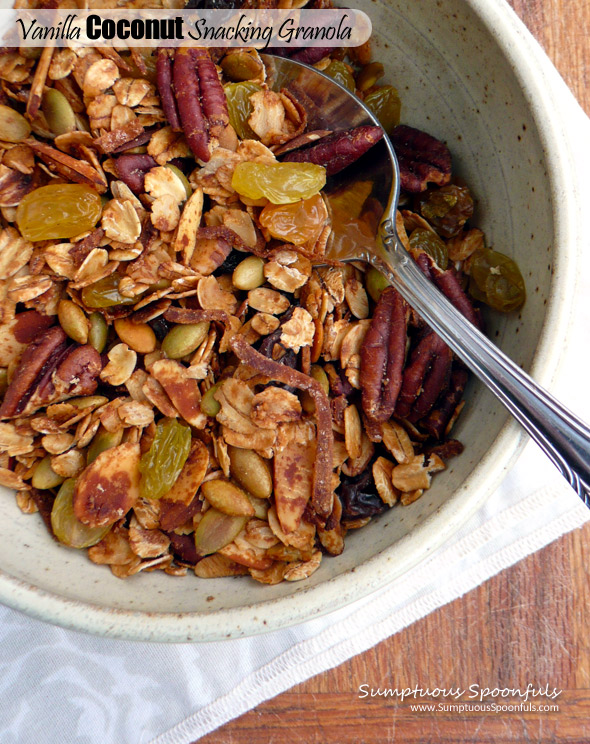 Vanilla Coconut Snacking Granola ~ Sumptuous Spoonfuls #coconutoil #healthy #natural #lowsugar #homemade #granola #recipe