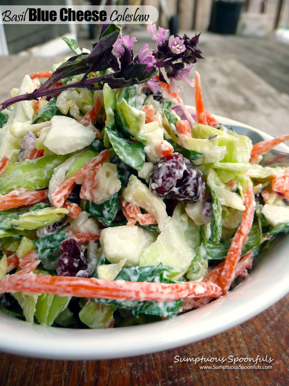 Basil Blue Cheese Coleslaw with Cranberries & Greek Yogurt ~ Sumptuous Spoonfuls #healthy #bluecheese #coleslaw #recipe