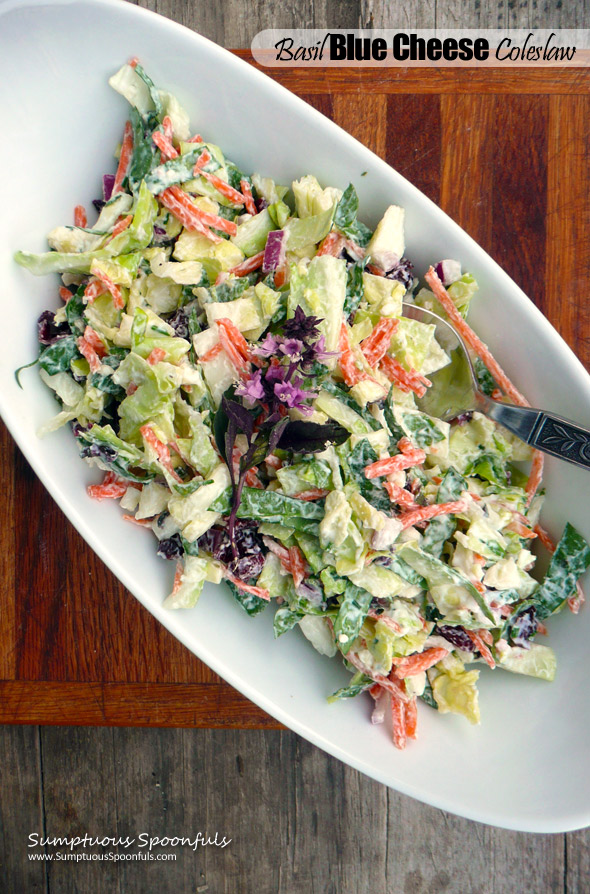 Basil Blue Cheese Coleslaw with Cranberries & Greek Yogurt ~ Sumptuous Spoonfuls #healthy #bluecheese #coleslaw #recipe