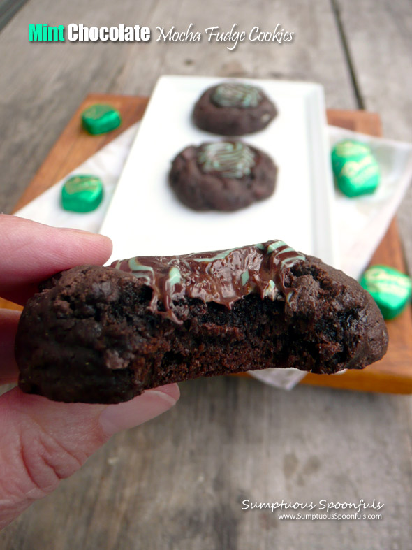 Mint Chocolate Mocha Fudge Cookies ~ Sumptuous Spoonfuls #decadent #lowfat #chocolate #mint #cookie #recipe