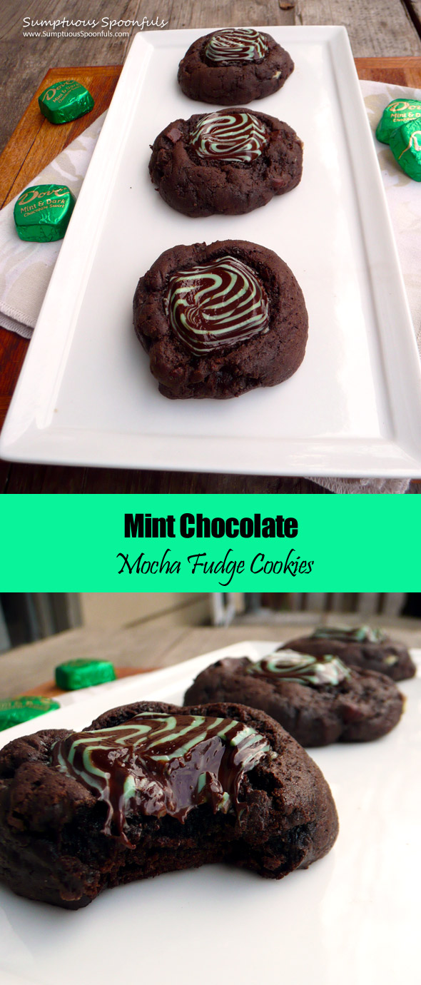 Mint Chocolate Mocha Fudge Cookies ~ Sumptuous Spoonfuls #decadent #lowfat #chocolate #mint #cookie #recipe