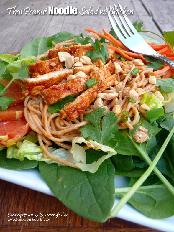 Thai Peanut Noodle Salad with Chicken ~ Sumptuous Spoonfuls #Asian #chicken #noodle #salad #recipe