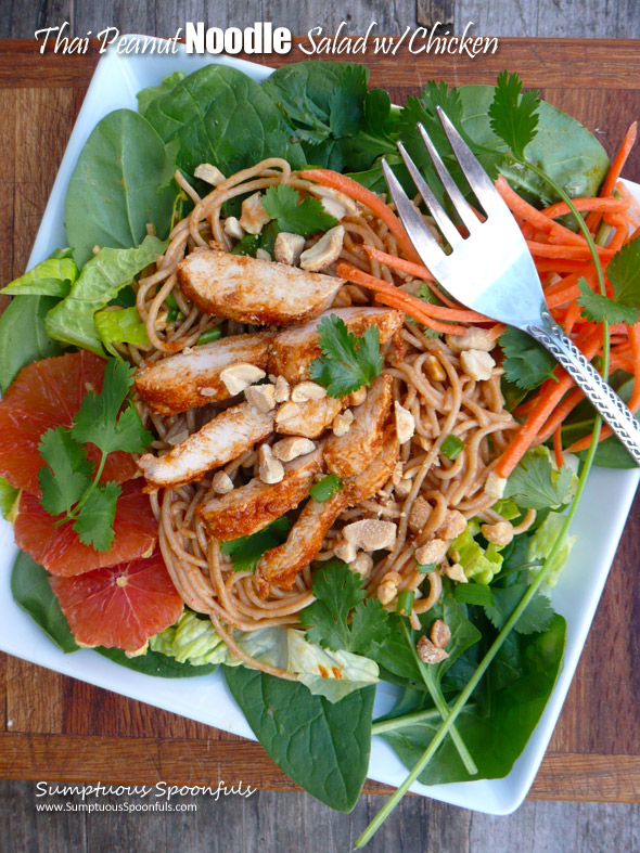 Thai Peanut Noodle Salad with Chicken ~ Sumptuous Spoonfuls #Asian #chicken #noodle #salad #recipe