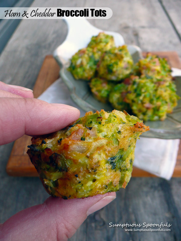 Ham & Cheddar Broccoli Tots ~ Sumptuous Spoonfuls #easy #cheesy #veggie #tots #recipe