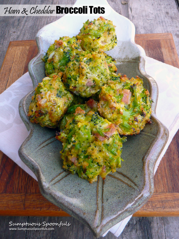 Ham & Cheddar Broccoli Tots ~ Sumptuous Spoonfuls #easy #cheesy #veggie #tots #recipe