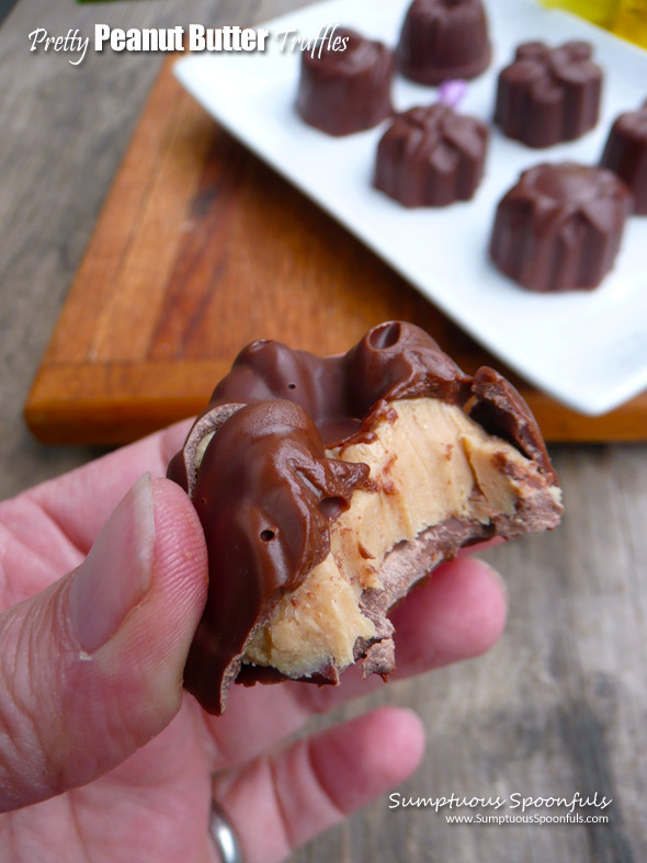 Pretty Peanut Butter Truffles ~ Sumptuous Spoonfuls #beautiful #decadent #chocolates #recipe