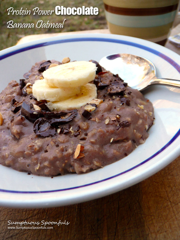 Protein Power Chocolate Banana Oatmeal ~ Sumptuous Spoonfuls #fast #breakfast #recipe