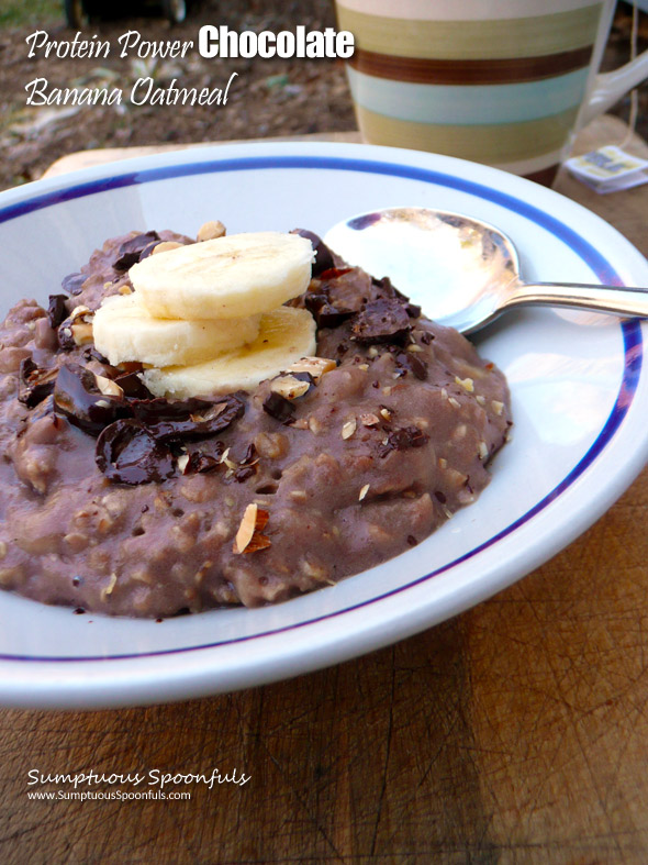 Protein Power Chocolate Banana Oatmeal ~ Sumptuous Spoonfuls #fast #breakfast #recipe