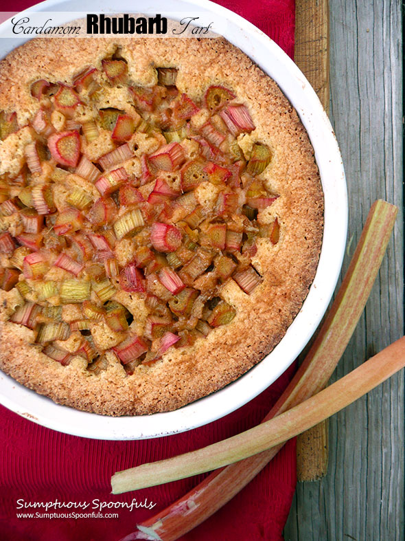 Cardamom Rhubarb Tart ~ Sumptuous Spoonfuls #easy #rhubarb #dessert #recipe