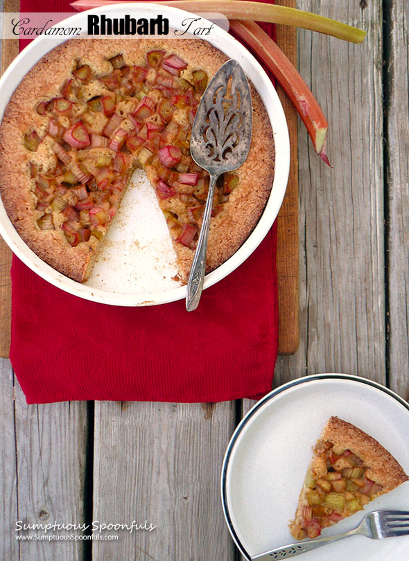 Cardamom Rhubarb Tart ~ Sumptuous Spoonfuls #easy #rhubarb #dessert #recipe