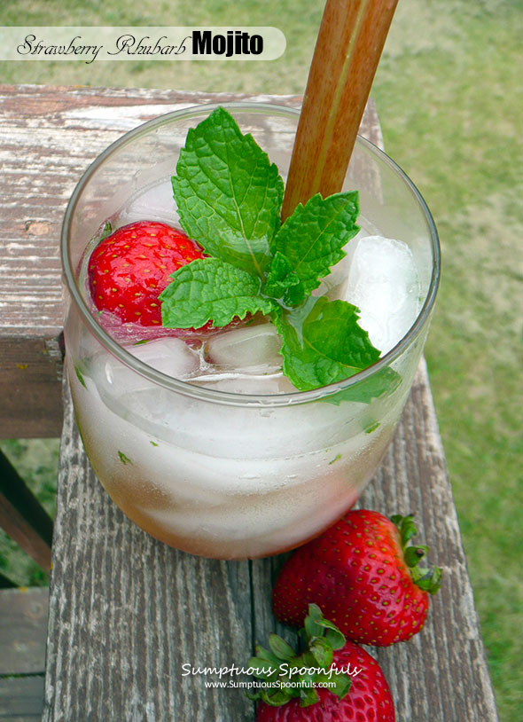 Strawberry Rhubarb Mojito ~ Sumptuous Spoonfuls #mint #rum #cocktail #recipe