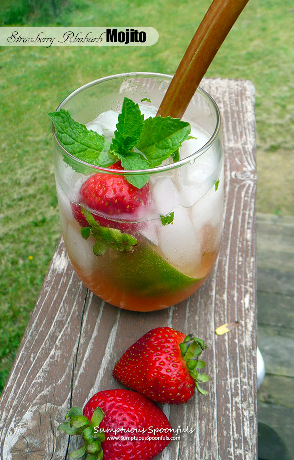 Strawberry Rhubarb Mojito ~ Sumptuous Spoonfuls #mint #rum #cocktail #recipe