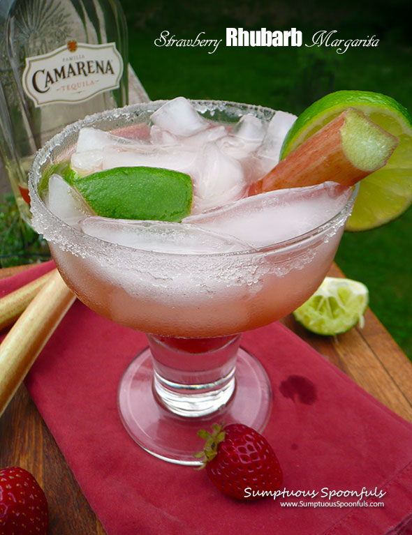 Strawberry Rhubarb Margarita ~ Sumptuous Spoonfuls #cocktail #recipe