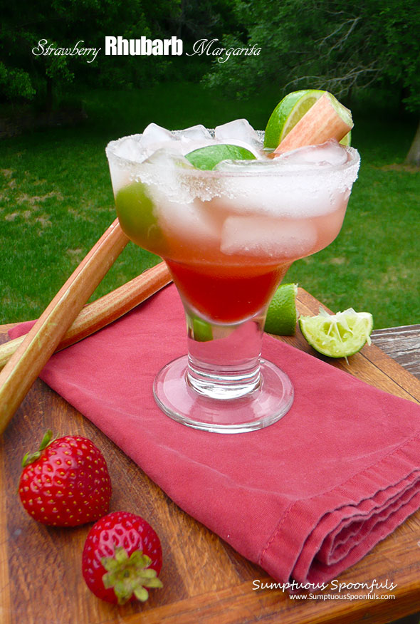 Strawberry Rhubarb Margarita ~ Sumptuous Spoonfuls #cocktail #recipe