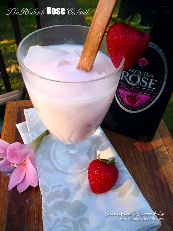 The Rhubarb Rose Cocktail ~ Sumptuous Spoonfuls#rhubarb #strawberry #cream #cocktail #recipe