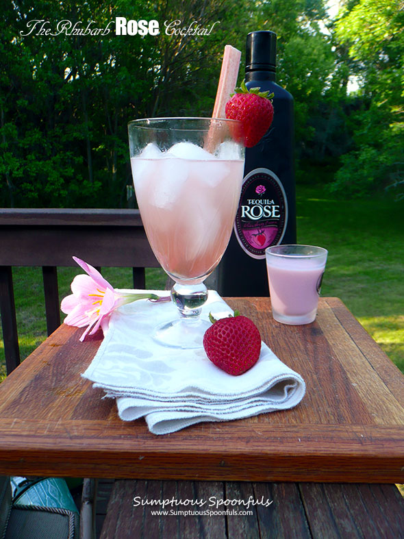 The Rhubarb Rose Cocktail ~ Sumptuous Spoonfuls#rhubarb #strawberry #cream #cocktail #recipe