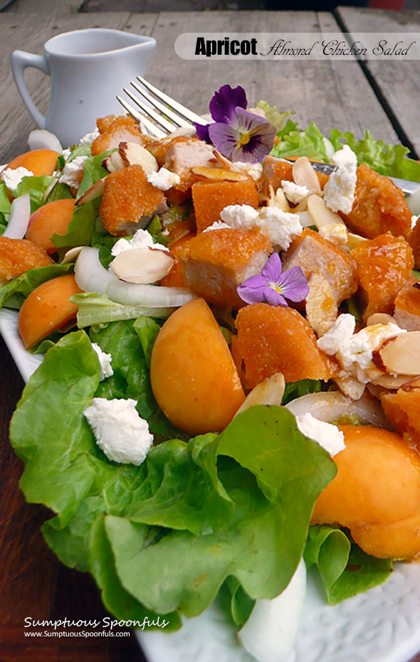 Apricot Almond Chicken Salad with Goat Cheese, Vidalia Onion and a Honey Chipotle Apricot Vinaigrette ~ Sumptuous Spoonfuls #dinner #salad #recipe
