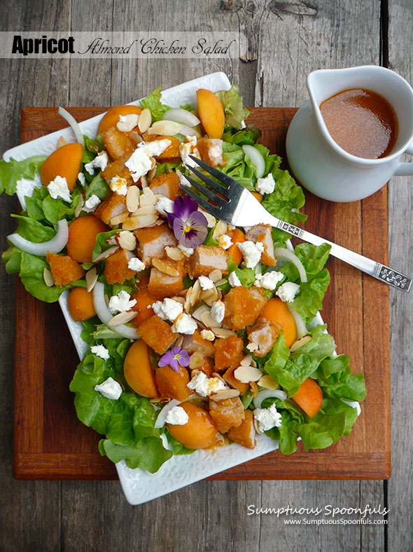 Apricot Almond Chicken Salad with Goat Cheese, Vidalia Onion and a Honey Chipotle Apricot Vinaigrette ~ Sumptuous Spoonfuls #dinner #salad #recipe