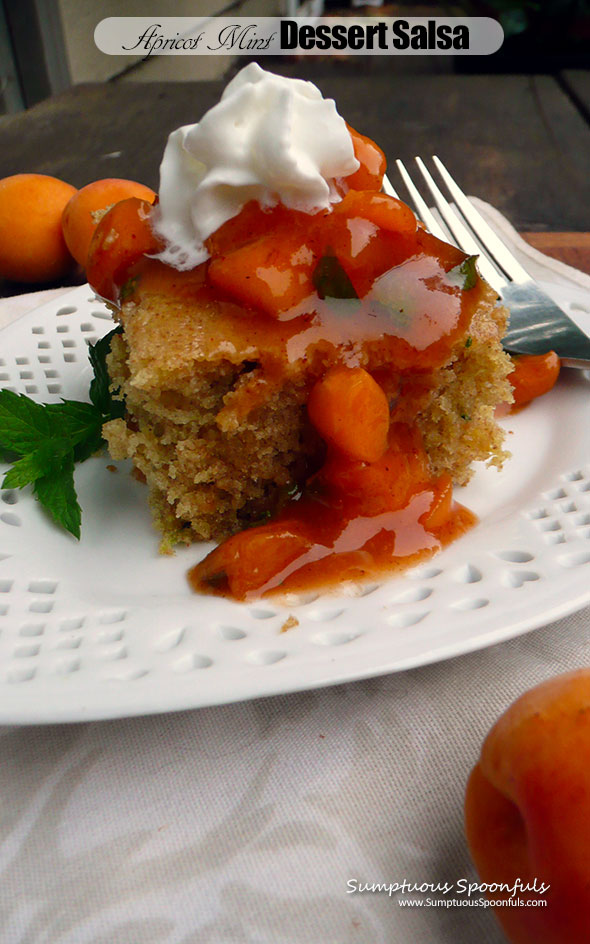 Apricot Mint Dessert Salsa ~ Sumptuous Spoonfuls #dessert #salsa #recipe