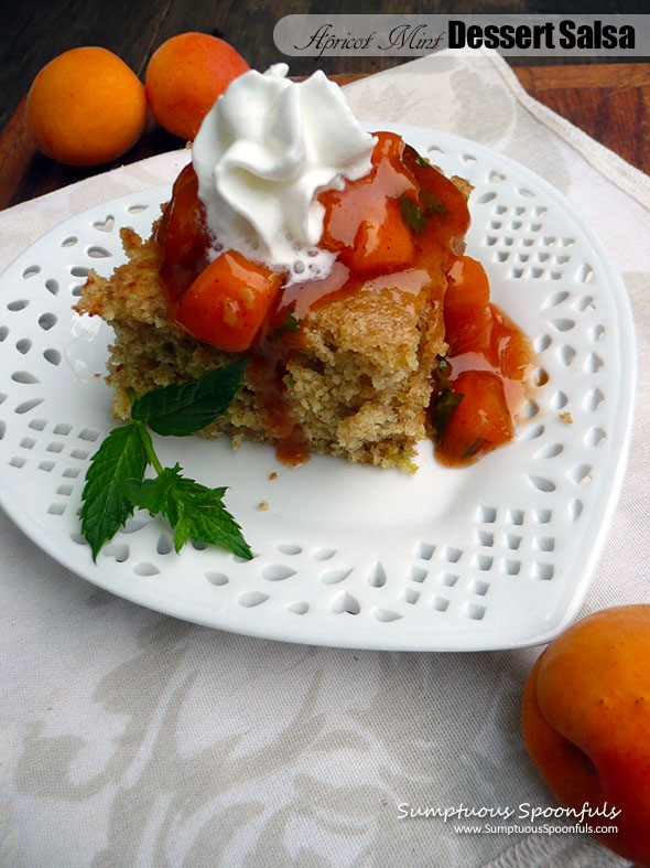 Apricot Mint Dessert Salsa ~ Sumptuous Spoonfuls #dessert #salsa #recipe