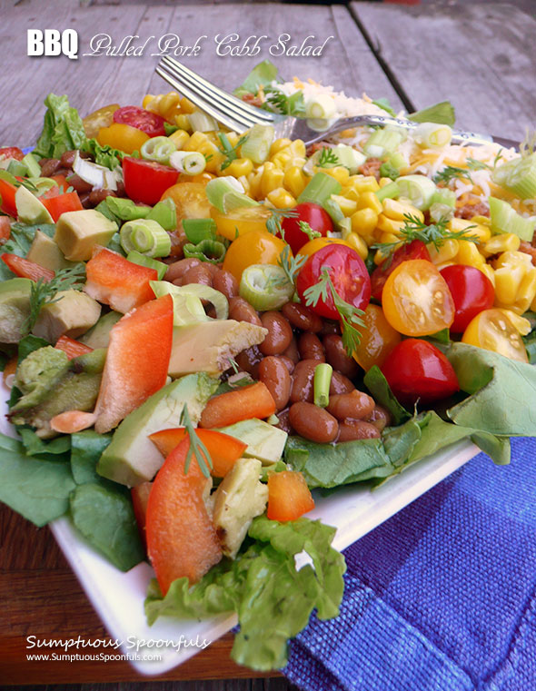 BBQ Pulled Pork Cobb Salad ~ Sumptuous Spoonfuls #barbecue #pork #dinner #salad #recipe