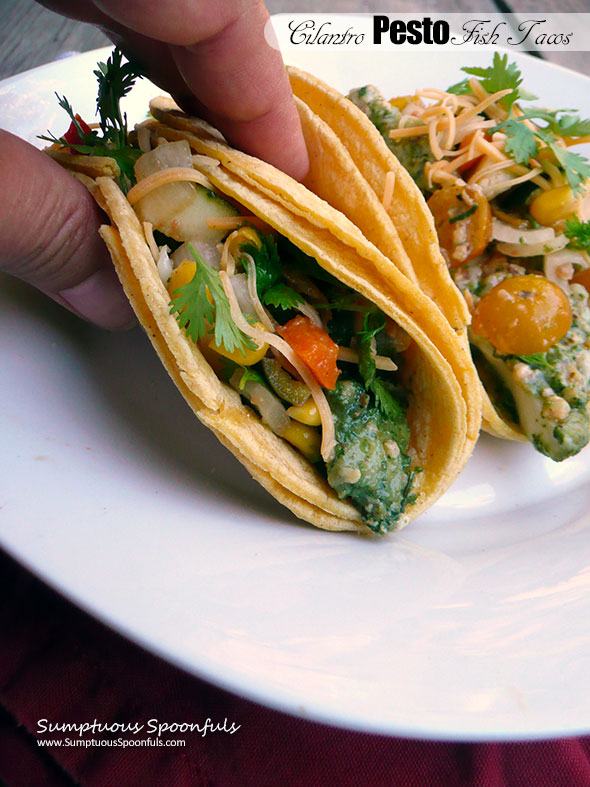 Cilantro Pesto Fish Tacos with Roasted Zucchini Corn Salsa ~ Sumptuous Spoonfuls #fish #taco #quickeasydinner #recipe