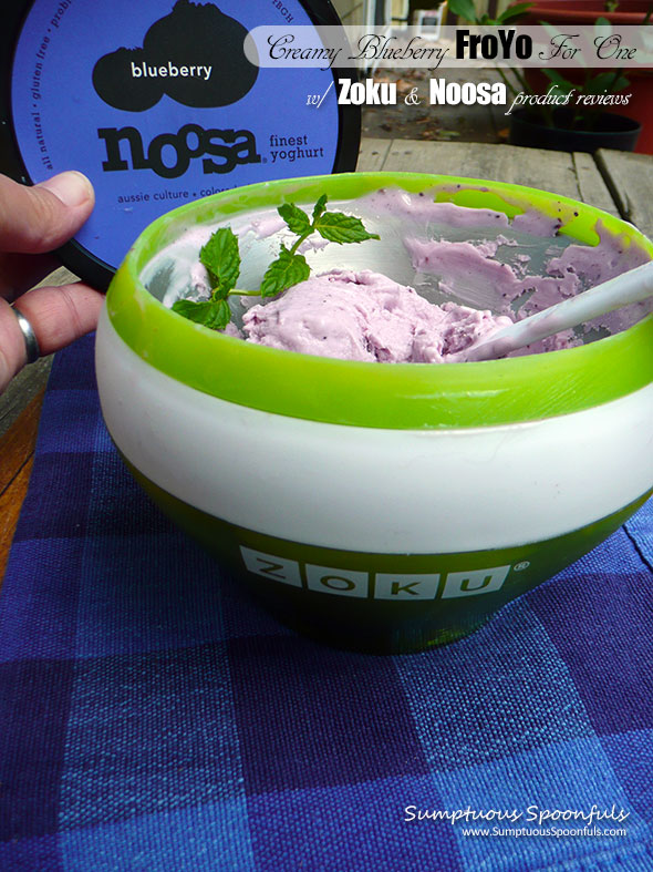 Creamy Blueberry Frozen Yoghurt for One w/Zoku & Noosa yoghurt ~ Sumptuous Spoonfuls #1-ingredient #FroYo #recipe