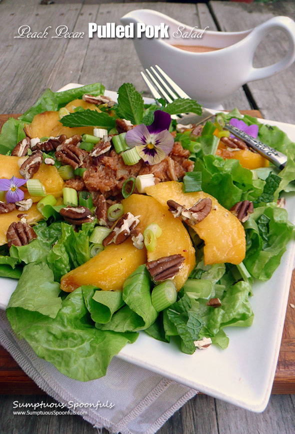 Peach Pecan Pulled Pork Salad with Smoky Chipotle BBQ Ranch Dressing ~ Sumptuous Spoonfuls #salad for #dinner #recipe
