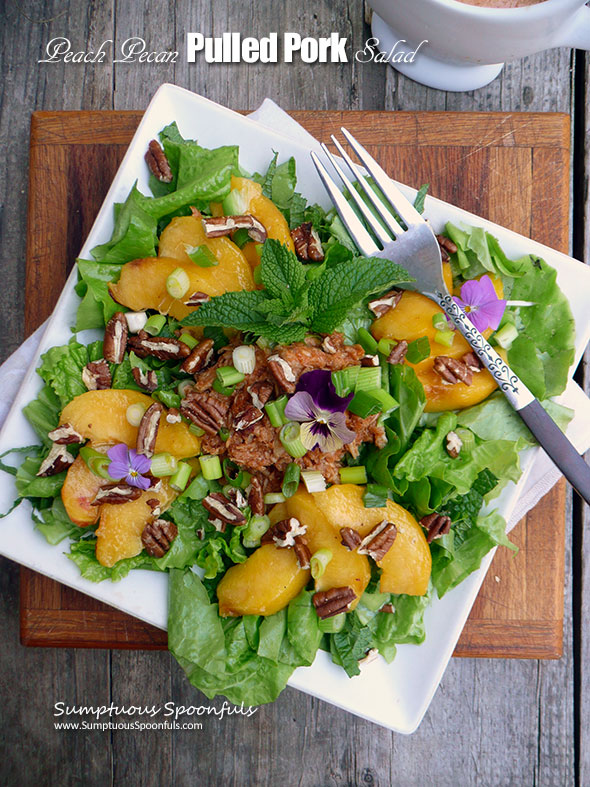 Peach Pecan Pulled Pork Salad with Smoky Chipotle BBQ Ranch Dressing ~ Sumptuous Spoonfuls #salad for #dinner #recipe