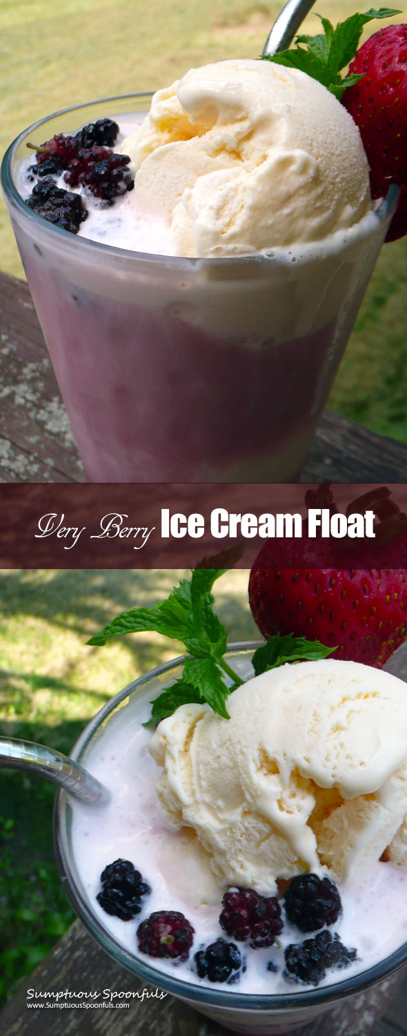 Very Berry Ice Cream Float ~ Sumptuous Spoonfuls #icecream #float #recipe