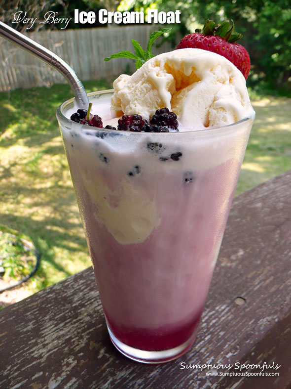 Very Berry Ice Cream Float ~ Sumptuous Spoonfuls #icecream #float #recipe