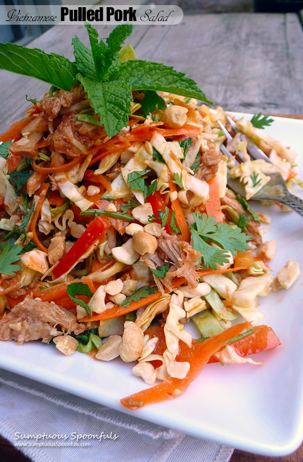 Vietnamese Pulled Pork Salad ~ Sumptuous Spoonfuls #easy #cabbage #pork #salad #recipe